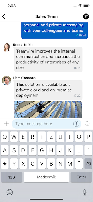 Transparent window overlay